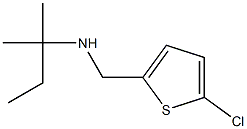 [(5-chlorothiophen-2-yl)methyl](2-methylbutan-2-yl)amine Structure