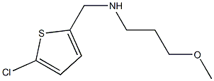 [(5-chlorothiophen-2-yl)methyl](3-methoxypropyl)amine|