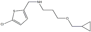  [(5-chlorothiophen-2-yl)methyl][3-(cyclopropylmethoxy)propyl]amine