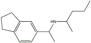  [1-(2,3-dihydro-1H-inden-5-yl)ethyl](pentan-2-yl)amine