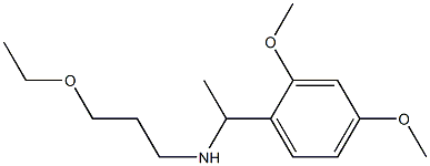  [1-(2,4-dimethoxyphenyl)ethyl](3-ethoxypropyl)amine