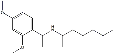 [1-(2,4-dimethoxyphenyl)ethyl](6-methylheptan-2-yl)amine|