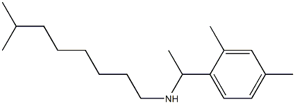 [1-(2,4-dimethylphenyl)ethyl](7-methyloctyl)amine,,结构式