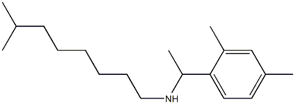 [1-(2,4-dimethylphenyl)ethyl](7-methyloctyl)amine