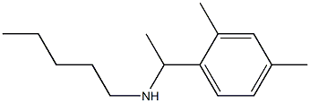 [1-(2,4-dimethylphenyl)ethyl](pentyl)amine 化学構造式