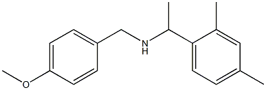 [1-(2,4-dimethylphenyl)ethyl][(4-methoxyphenyl)methyl]amine,,结构式