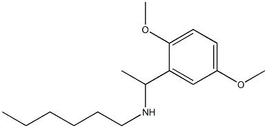 [1-(2,5-dimethoxyphenyl)ethyl](hexyl)amine