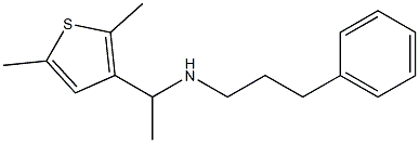  [1-(2,5-dimethylthiophen-3-yl)ethyl](3-phenylpropyl)amine