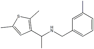 [1-(2,5-dimethylthiophen-3-yl)ethyl][(3-methylphenyl)methyl]amine Structure