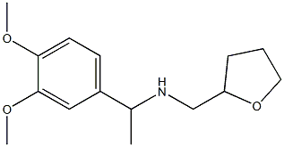 [1-(3,4-dimethoxyphenyl)ethyl](oxolan-2-ylmethyl)amine