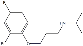 [3-(2-bromo-4-fluorophenoxy)propyl](propan-2-yl)amine 化学構造式