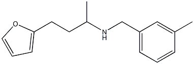[4-(furan-2-yl)butan-2-yl][(3-methylphenyl)methyl]amine