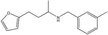 [4-(furan-2-yl)butan-2-yl][(3-methylphenyl)methyl]amine 化学構造式