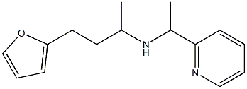  [4-(furan-2-yl)butan-2-yl][1-(pyridin-2-yl)ethyl]amine