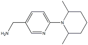 [6-(2,6-dimethylpiperidin-1-yl)pyridin-3-yl]methylamine