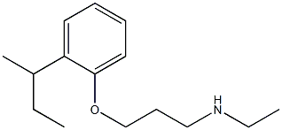 {3-[2-(butan-2-yl)phenoxy]propyl}(ethyl)amine|