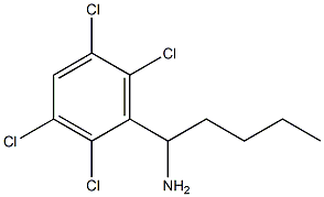  1-(2,3,5,6-tetrachlorophenyl)pentan-1-amine