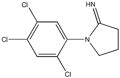 1-(2,4,5-trichlorophenyl)pyrrolidin-2-imine