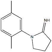 1-(2,5-dimethylphenyl)pyrrolidin-2-imine|