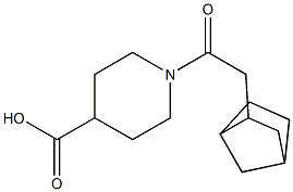 1-(2-{bicyclo[2.2.1]heptan-2-yl}acetyl)piperidine-4-carboxylic acid 结构式