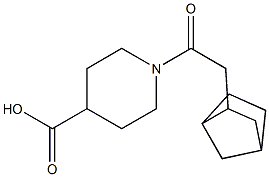  1-(2-{bicyclo[2.2.1]heptan-2-yl}acetyl)piperidine-4-carboxylic acid