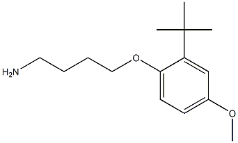 1-(4-aminobutoxy)-2-tert-butyl-4-methoxybenzene Structure