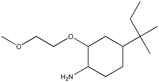 2-(2-methoxyethoxy)-4-(2-methylbutan-2-yl)cyclohexan-1-amine