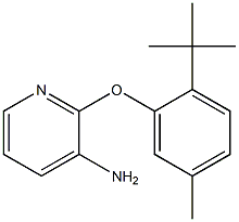 2-(2-tert-butyl-5-methylphenoxy)pyridin-3-amine Structure