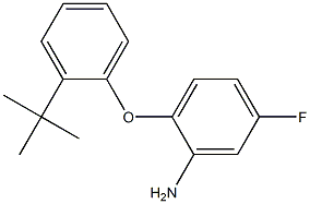 2-(2-tert-butylphenoxy)-5-fluoroaniline 化学構造式