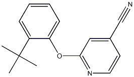 2-(2-tert-butylphenoxy)pyridine-4-carbonitrile|