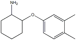 2-(3,4-dimethylphenoxy)cyclohexan-1-amine Structure