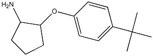 2-(4-tert-butylphenoxy)cyclopentanamine Struktur