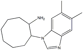 2-(5,6-dimethyl-1H-1,3-benzodiazol-1-yl)cyclooctan-1-amine 结构式