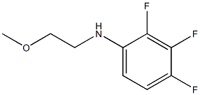 2,3,4-trifluoro-N-(2-methoxyethyl)aniline Structure