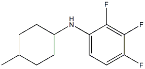 2,3,4-trifluoro-N-(4-methylcyclohexyl)aniline