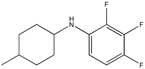  2,3,4-trifluoro-N-(4-methylcyclohexyl)aniline