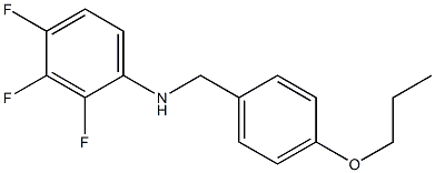  2,3,4-trifluoro-N-[(4-propoxyphenyl)methyl]aniline