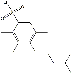 2,3,5-trimethyl-4-(3-methylbutoxy)benzene-1-sulfonyl chloride Structure