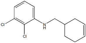 2,3-dichloro-N-(cyclohex-3-en-1-ylmethyl)aniline Struktur