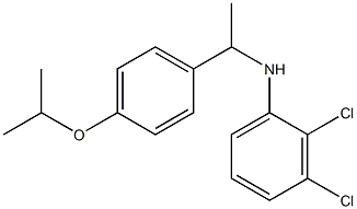 2,3-dichloro-N-{1-[4-(propan-2-yloxy)phenyl]ethyl}aniline