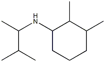 2,3-dimethyl-N-(3-methylbutan-2-yl)cyclohexan-1-amine 化学構造式
