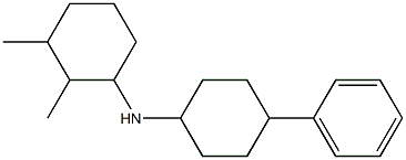 2,3-dimethyl-N-(4-phenylcyclohexyl)cyclohexan-1-amine,,结构式
