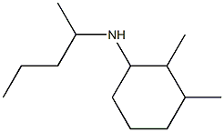 2,3-dimethyl-N-(pentan-2-yl)cyclohexan-1-amine 化学構造式