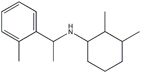2,3-dimethyl-N-[1-(2-methylphenyl)ethyl]cyclohexan-1-amine
