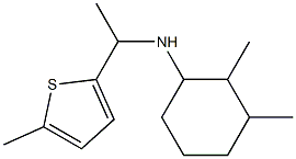 2,3-dimethyl-N-[1-(5-methylthiophen-2-yl)ethyl]cyclohexan-1-amine