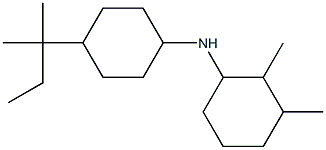 2,3-dimethyl-N-[4-(2-methylbutan-2-yl)cyclohexyl]cyclohexan-1-amine 结构式