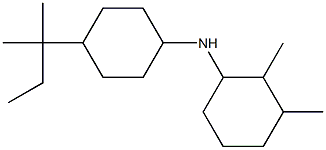  2,3-dimethyl-N-[4-(2-methylbutan-2-yl)cyclohexyl]cyclohexan-1-amine