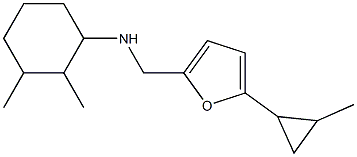 2,3-dimethyl-N-{[5-(2-methylcyclopropyl)furan-2-yl]methyl}cyclohexan-1-amine