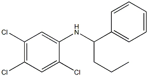 2,4,5-trichloro-N-(1-phenylbutyl)aniline 结构式