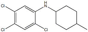 2,4,5-trichloro-N-(4-methylcyclohexyl)aniline